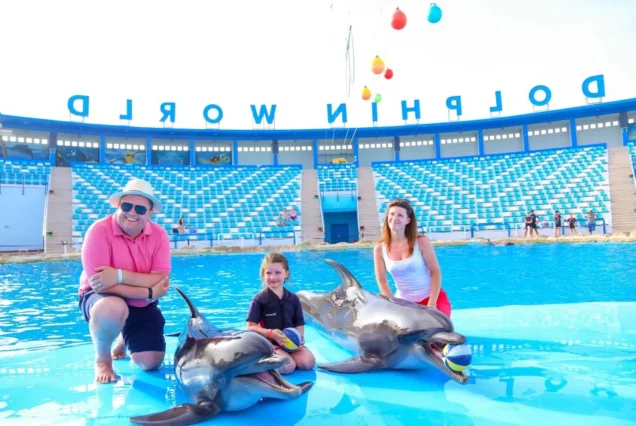 Spectacle de dauphins